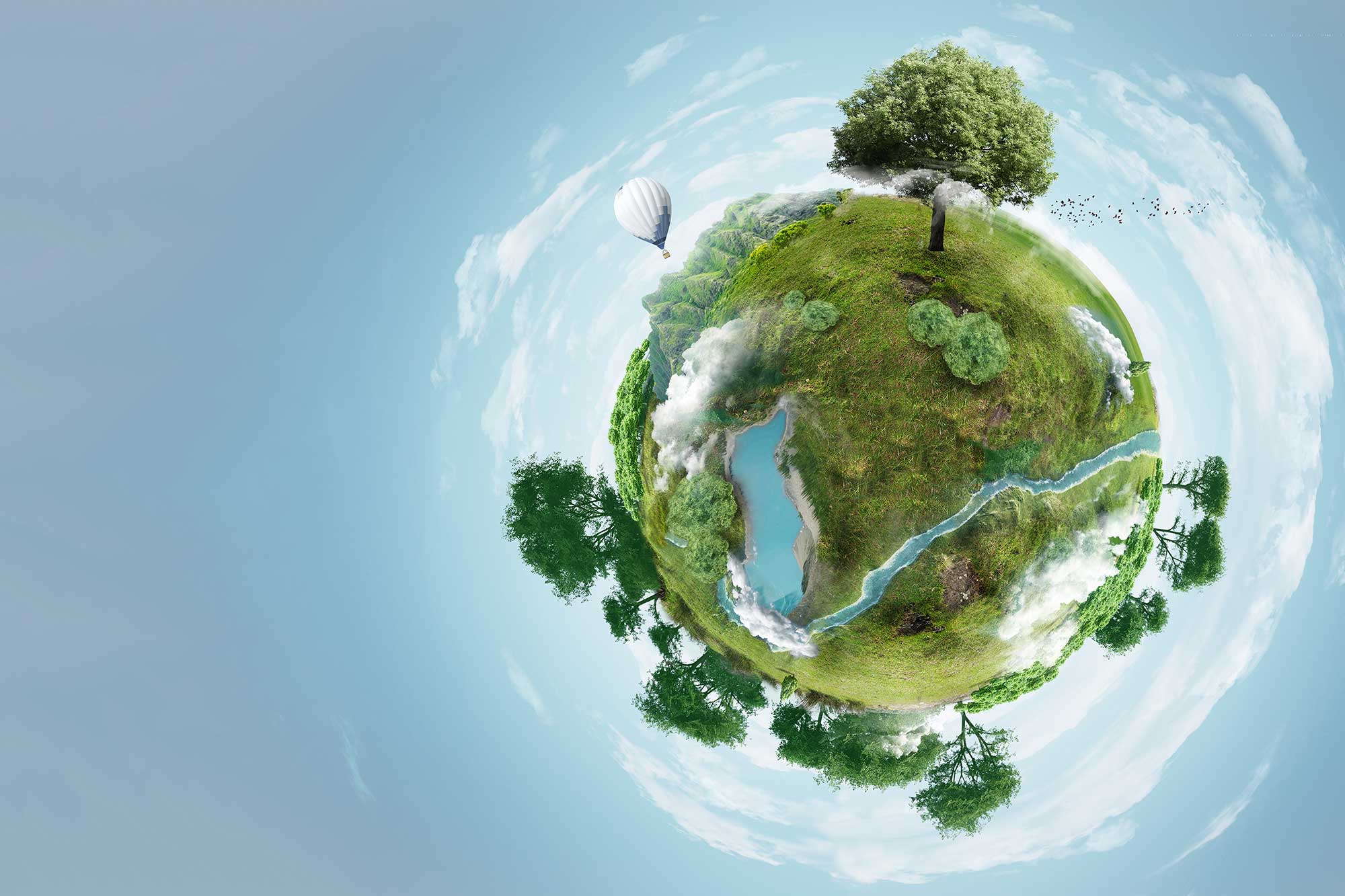 Promoting Circular Bioeconomy